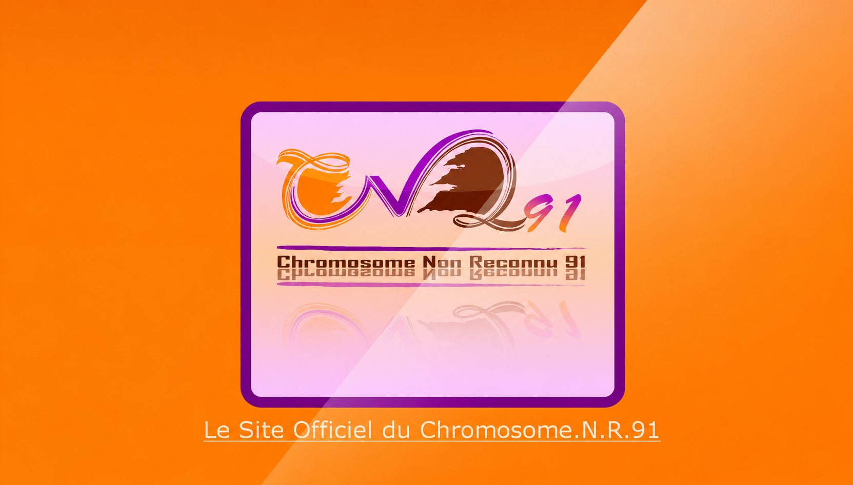 Chromosome.N.R.91 : capture du site, vue 1